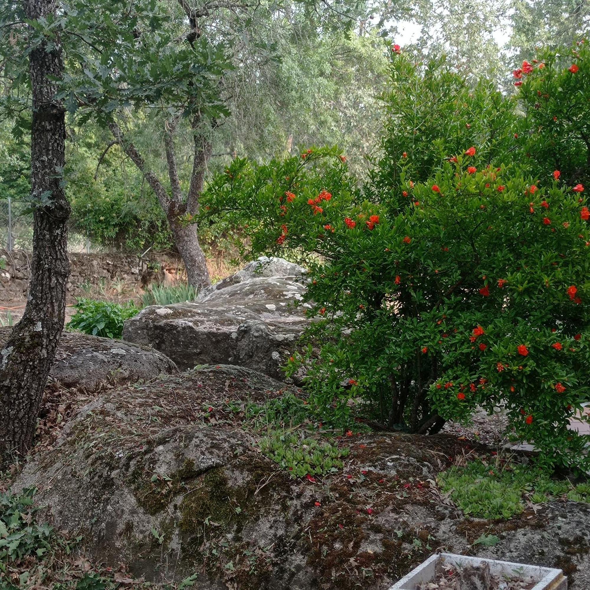 Casa Rural Vinas Perdidas Bejar Exterior photo