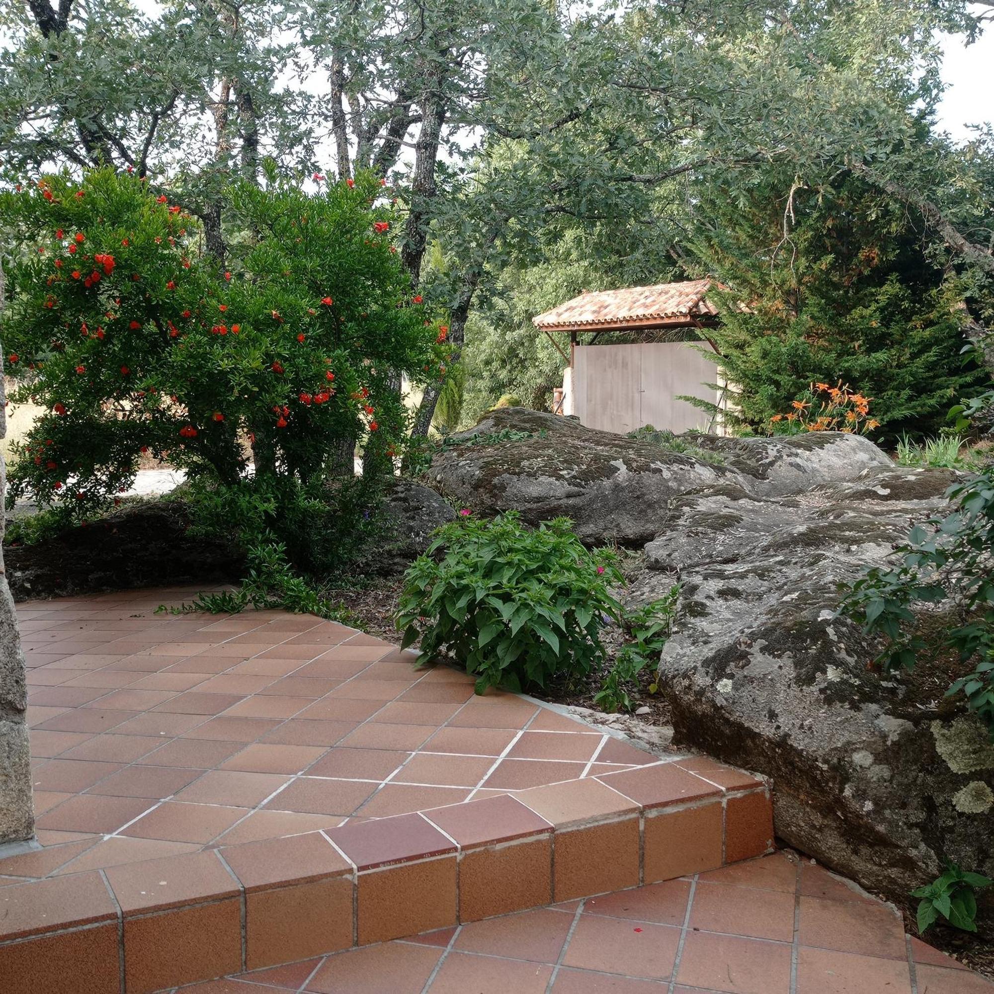 Casa Rural Vinas Perdidas Bejar Exterior photo